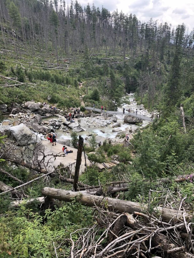 Studený potok - Hrebienok - Skalnaté pleso