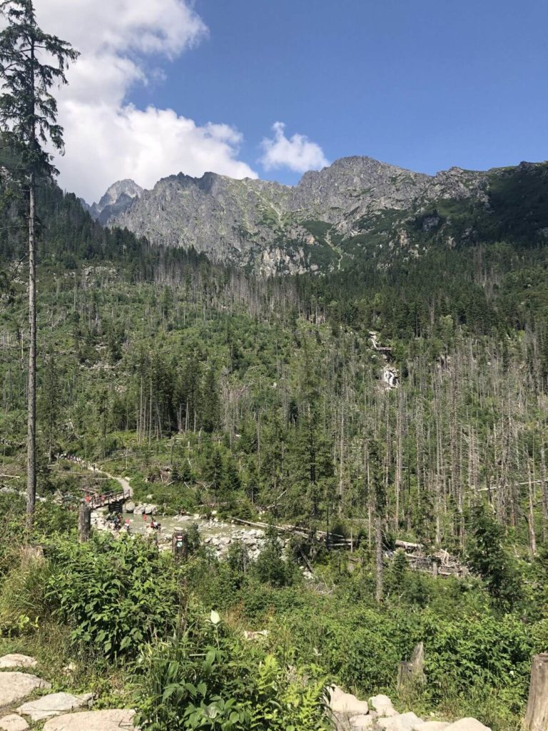 Studený potok výhledy - Hrebienok - Skalnaté pleso