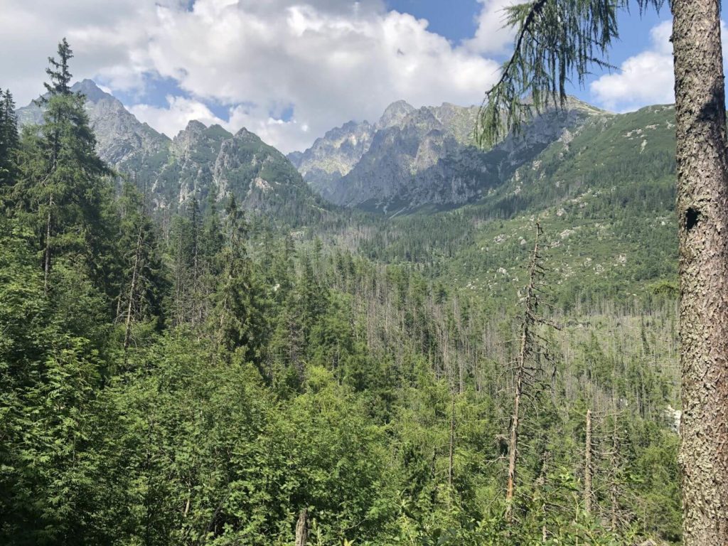 Tatranští velikáni - Hrebienok - Skalnaté pleso