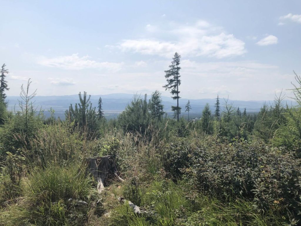 Tatry výhled - Hrebienok - Skalnaté pleso