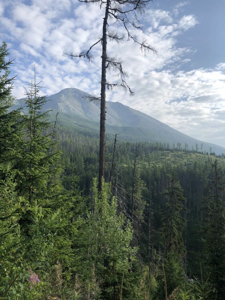 Velická dolina Tatry