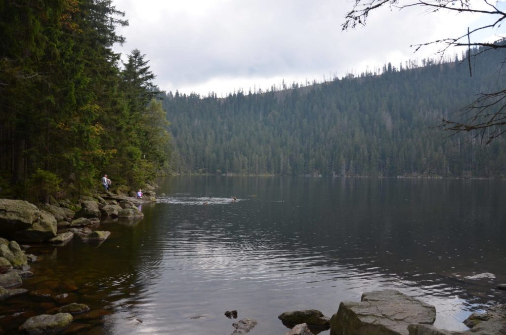 Černé jezero Šumava