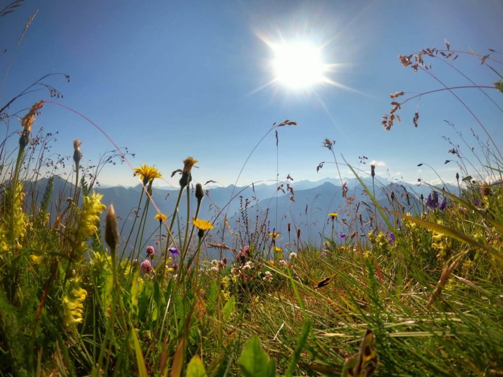 Příroda Stubnerkogel