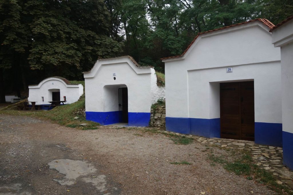 Sklípky Plže