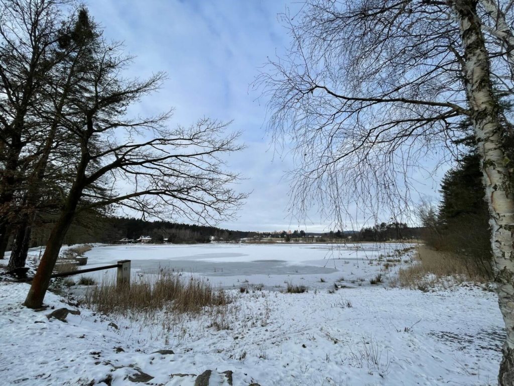 Rybník Košinář