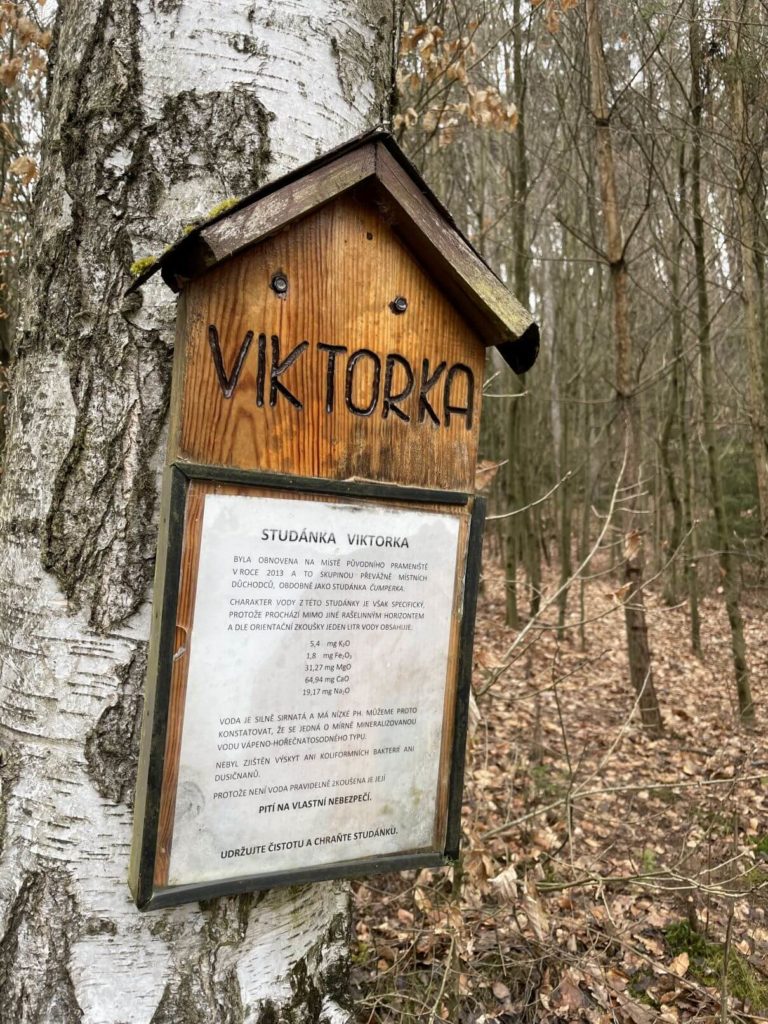 Viktorka informace