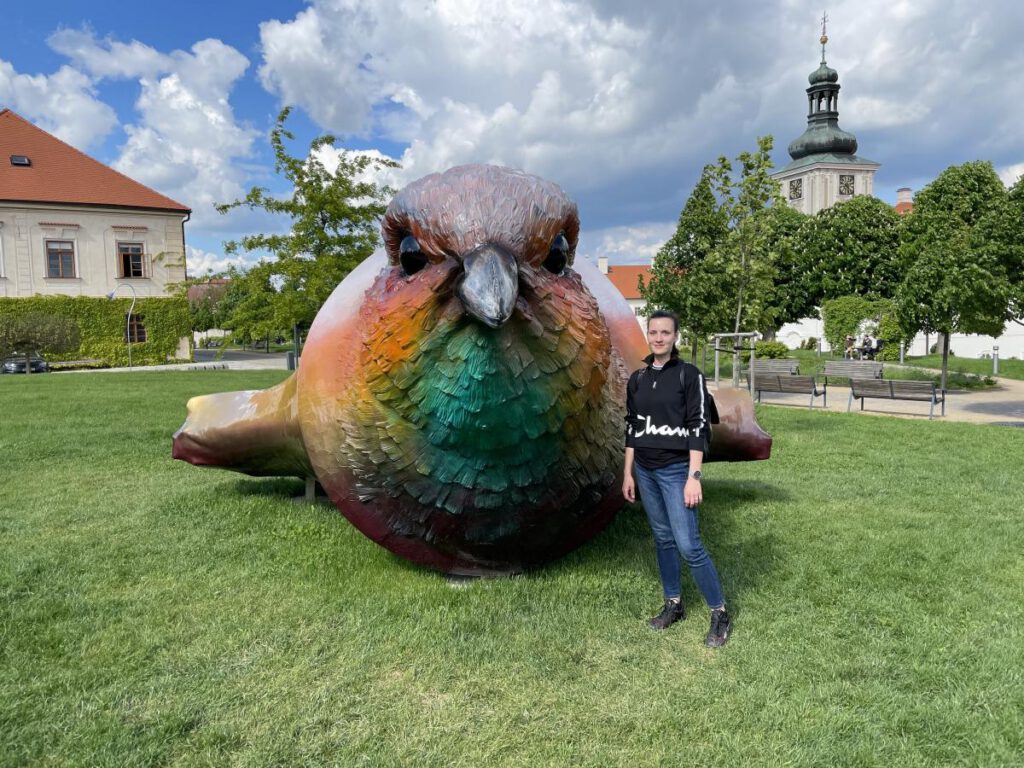 Zahrady u Jezuitské koleje