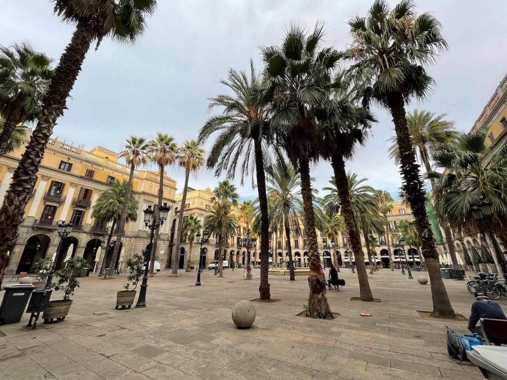 Placa Reial