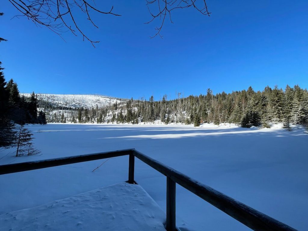 Jezero Laka Šumava