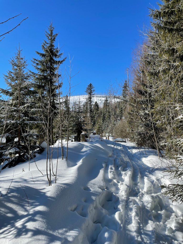 Zasněžená Šumava