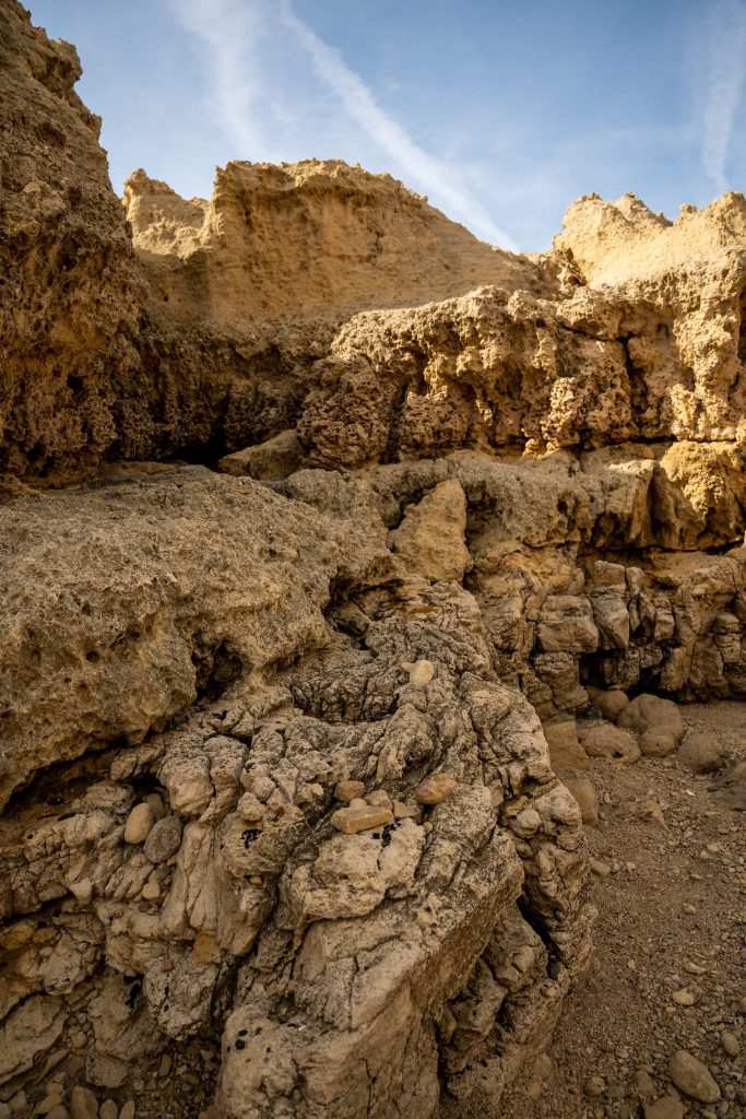 Gozo Coral Garden