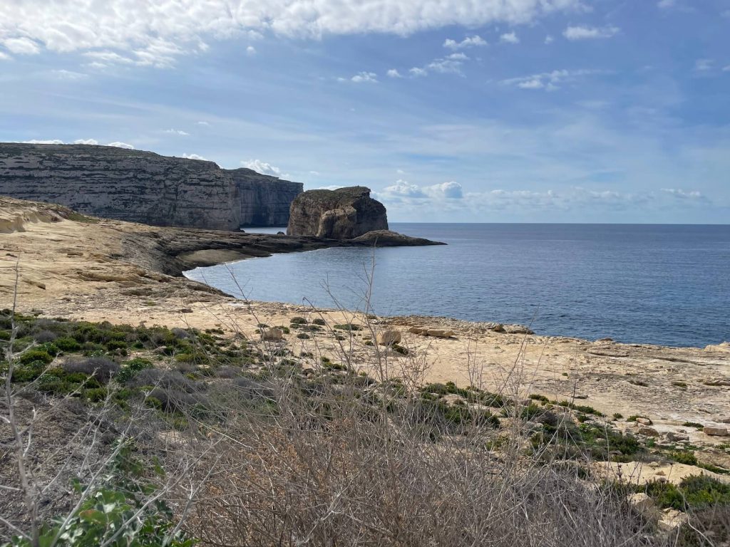 Gozo Fungus Rock