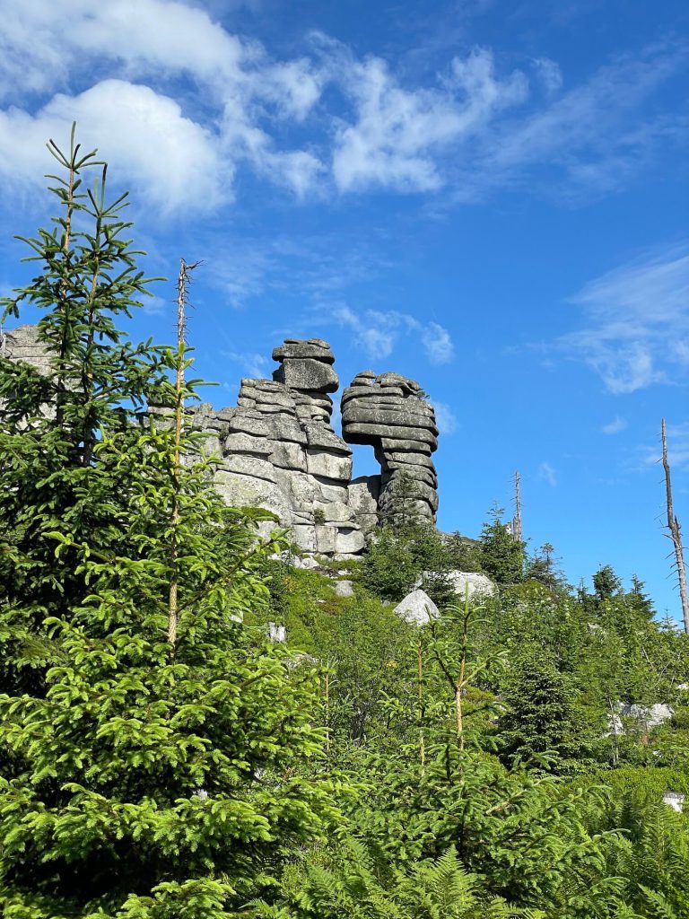 Třístoličník Šumava