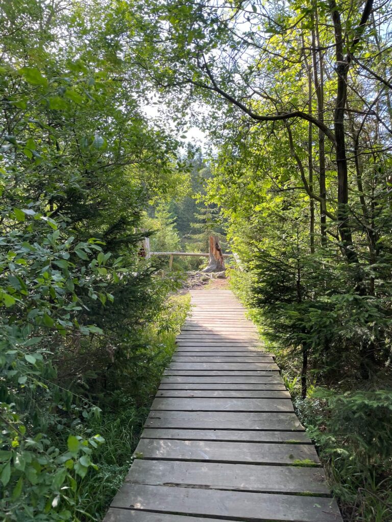 Chodník