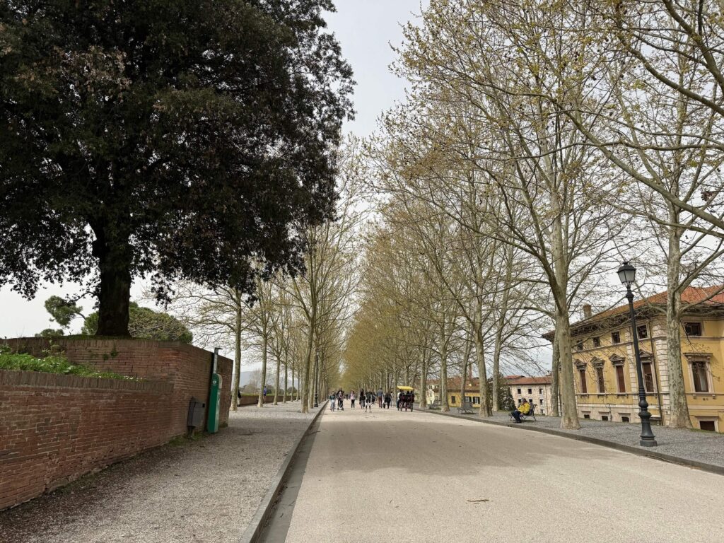 Lucca na hradbách