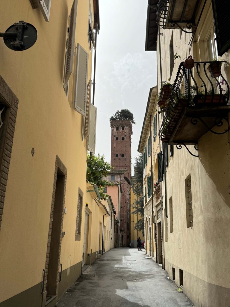 Lucca věž