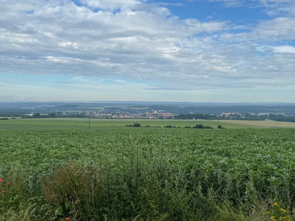 Výhled na Dobřany