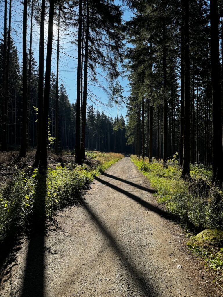 Cesta na Čtyři palice