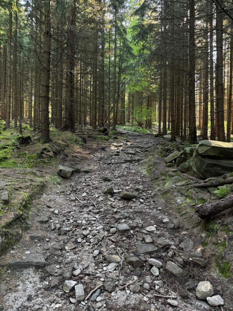 Cesta na Perničky