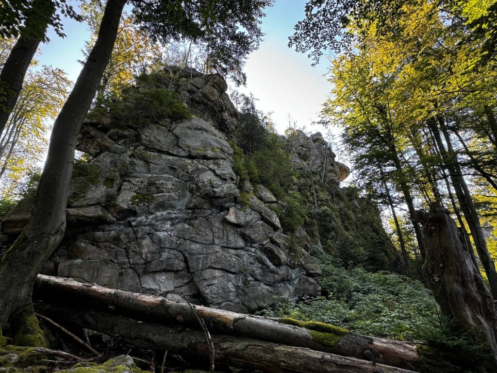 Čtyři palice