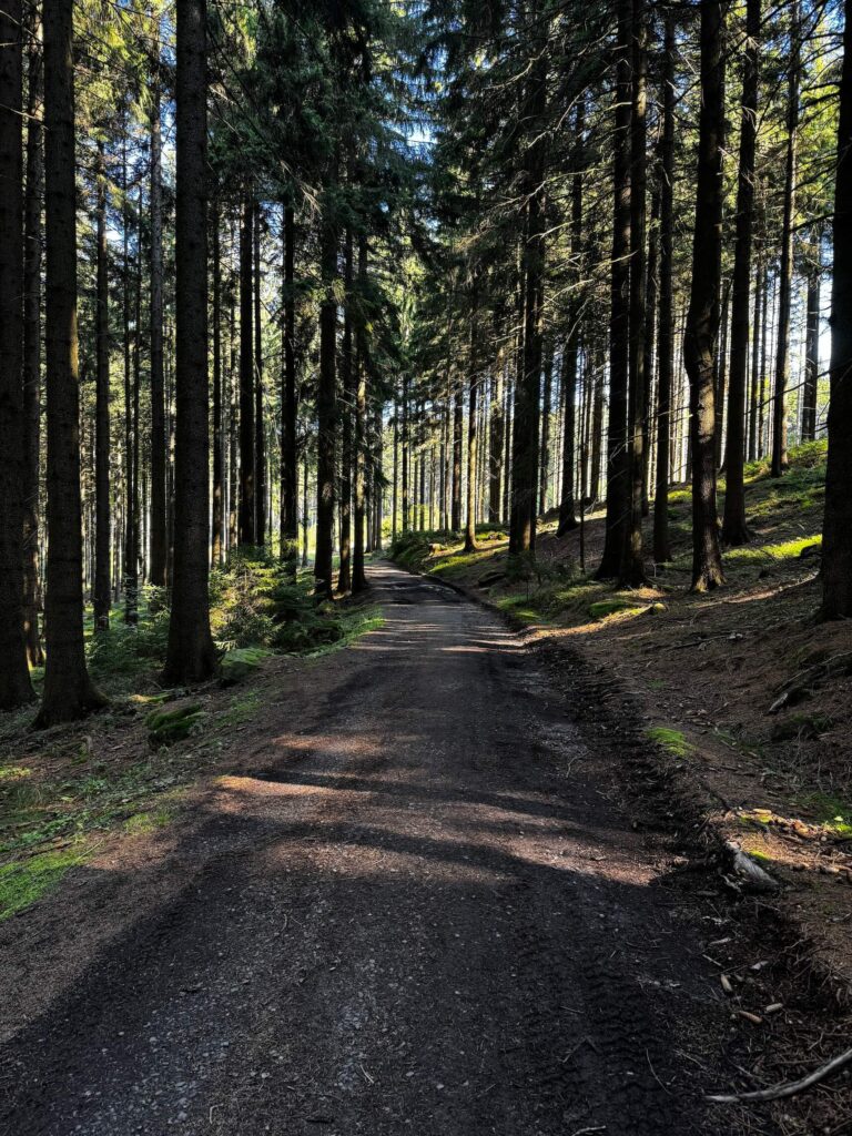 Cesta na Devět skal CHKO Žďárské vrchy