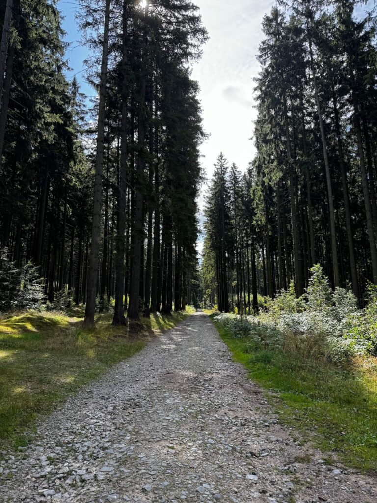 Cesta na Devět skal