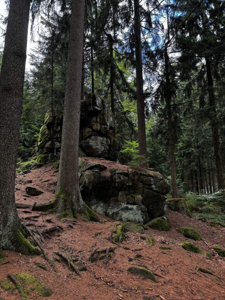 CHKO Žďárské vrchy