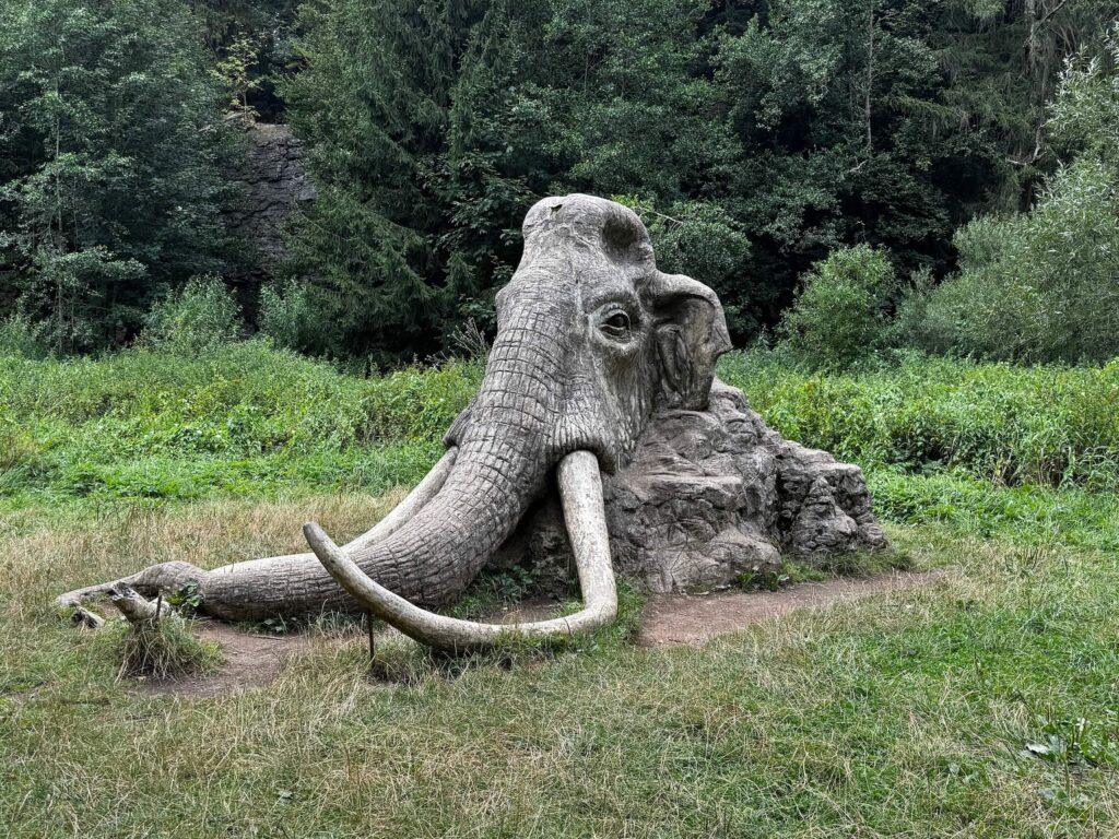 Mamut CHKO Žďárské vrchy