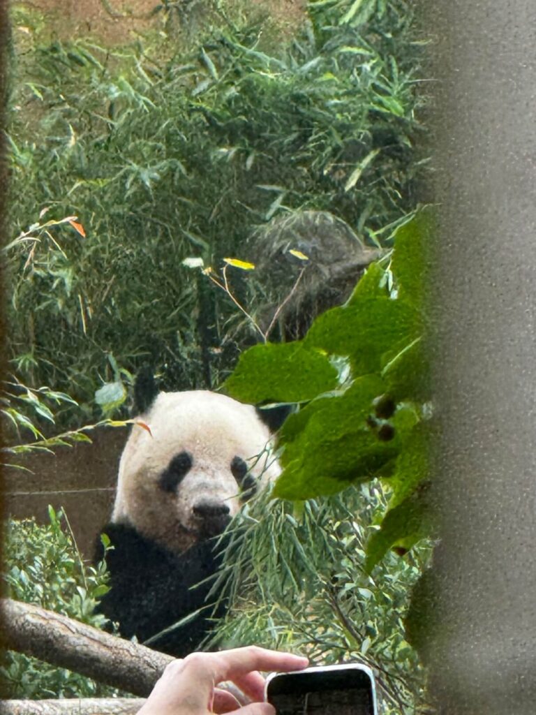 UENO ZOO Tokio