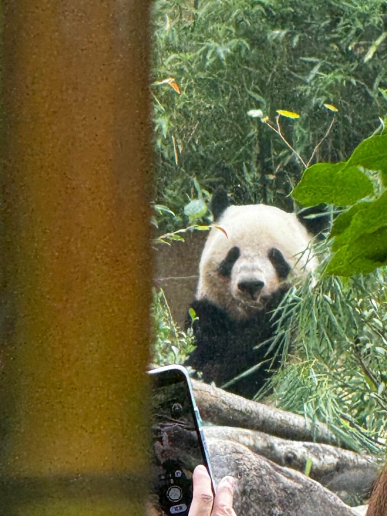 UENO ZOO Tokio