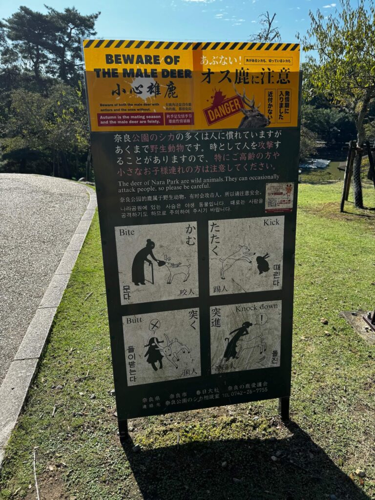 Nara