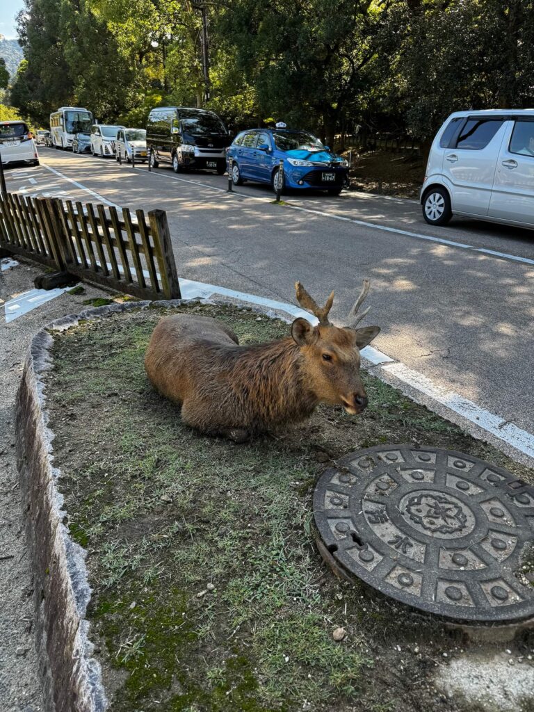 Nara