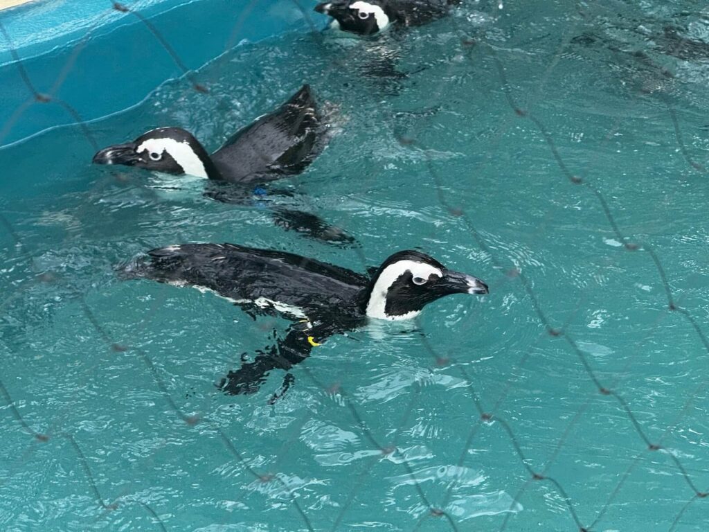 UENO ZOO Tokio