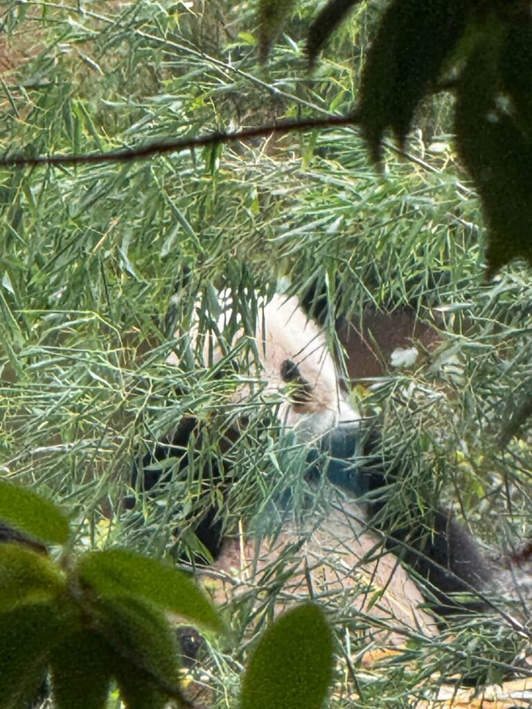 UENO ZOO Tokio