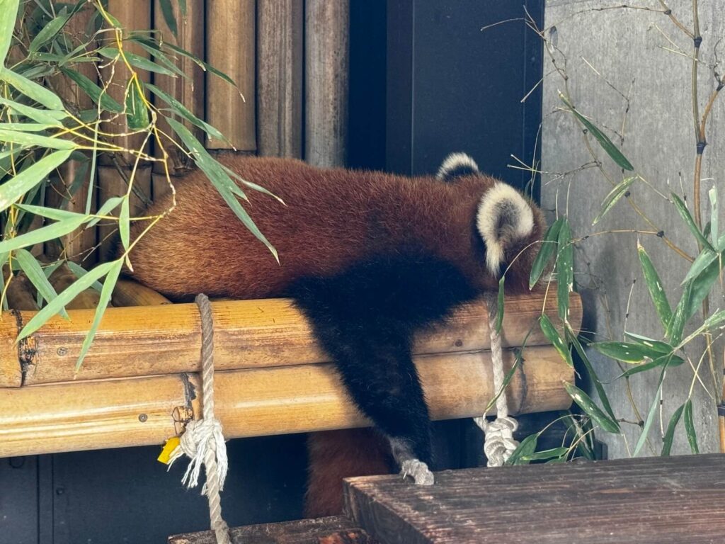 UENO ZOO Tokio