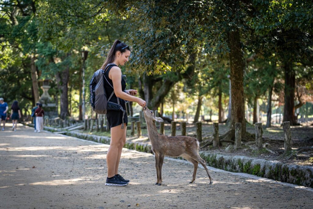 Nara