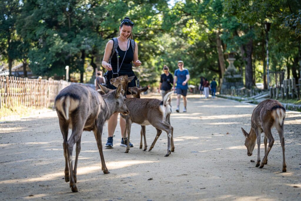 Nara