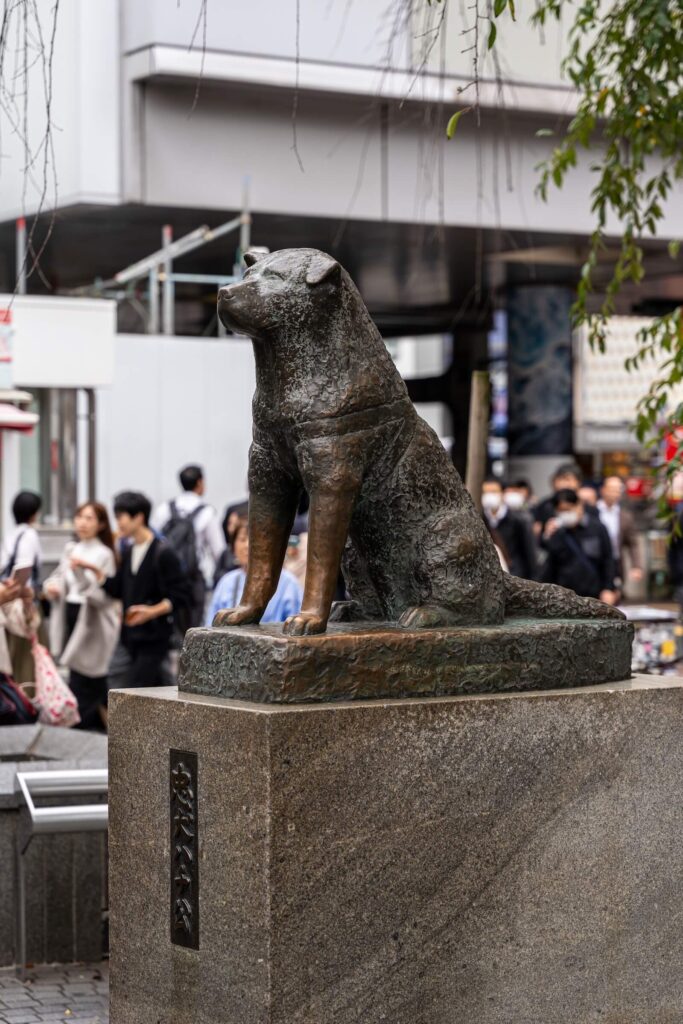 Shibuya Sky a křižovatka Scramble crossing