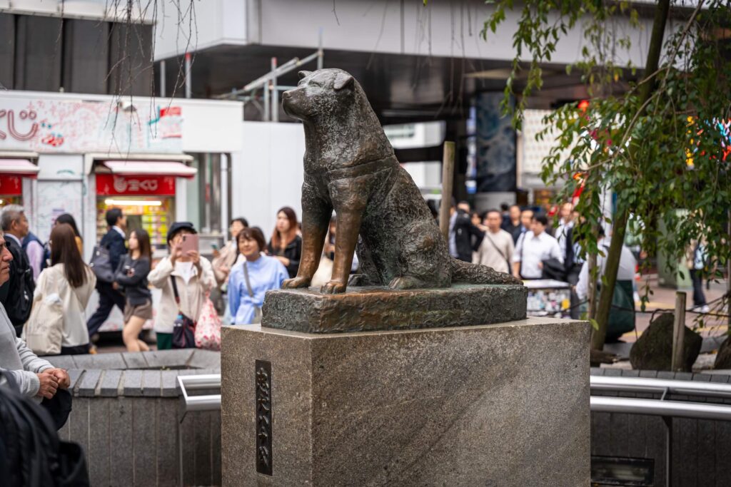 Shibuya Sky a křižovatka Scramble crossing