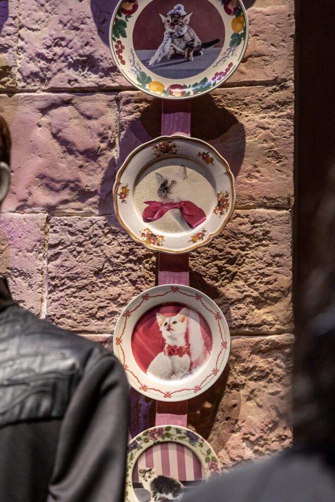 The Making Of Harry Potter Tokyo