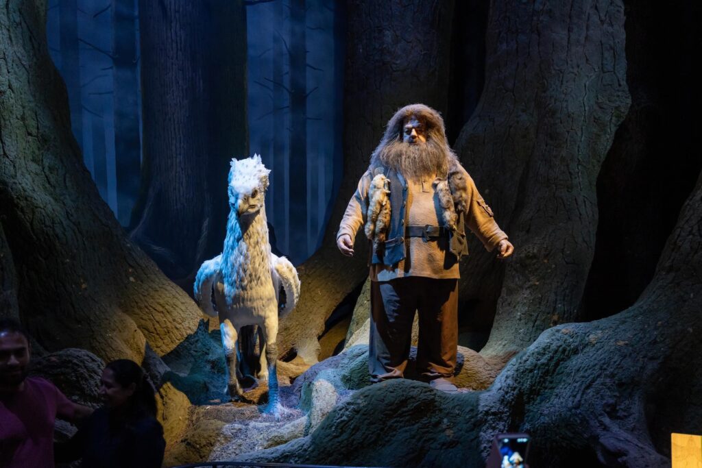 The Making Of Harry Potter Tokyo