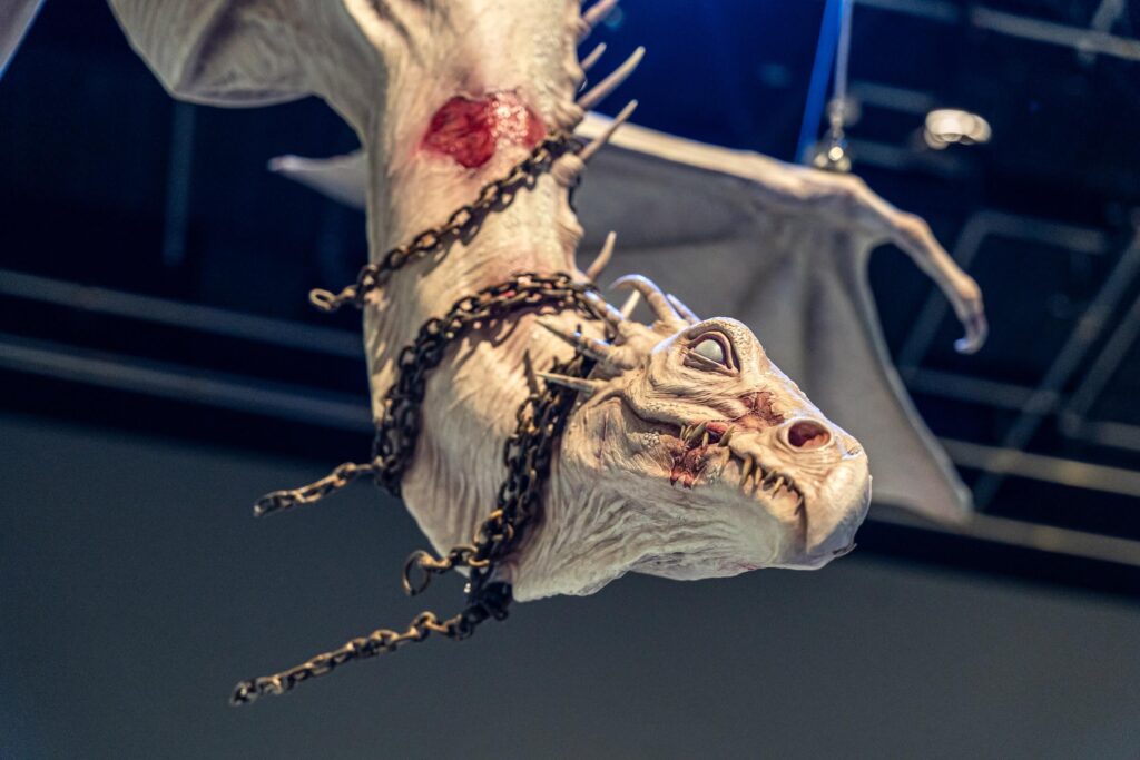 The Making Of Harry Potter Tokyo