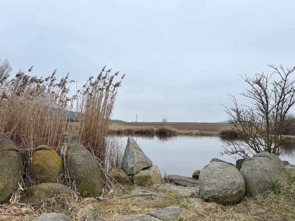 Rybník Romovák