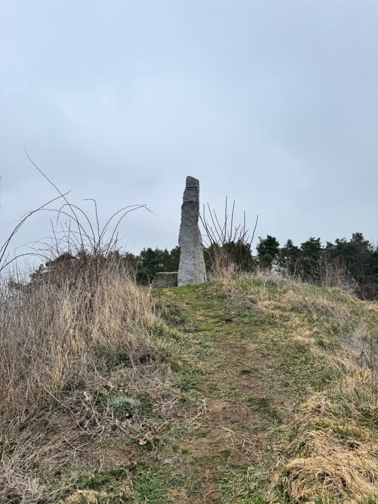 Menhir u Srbice