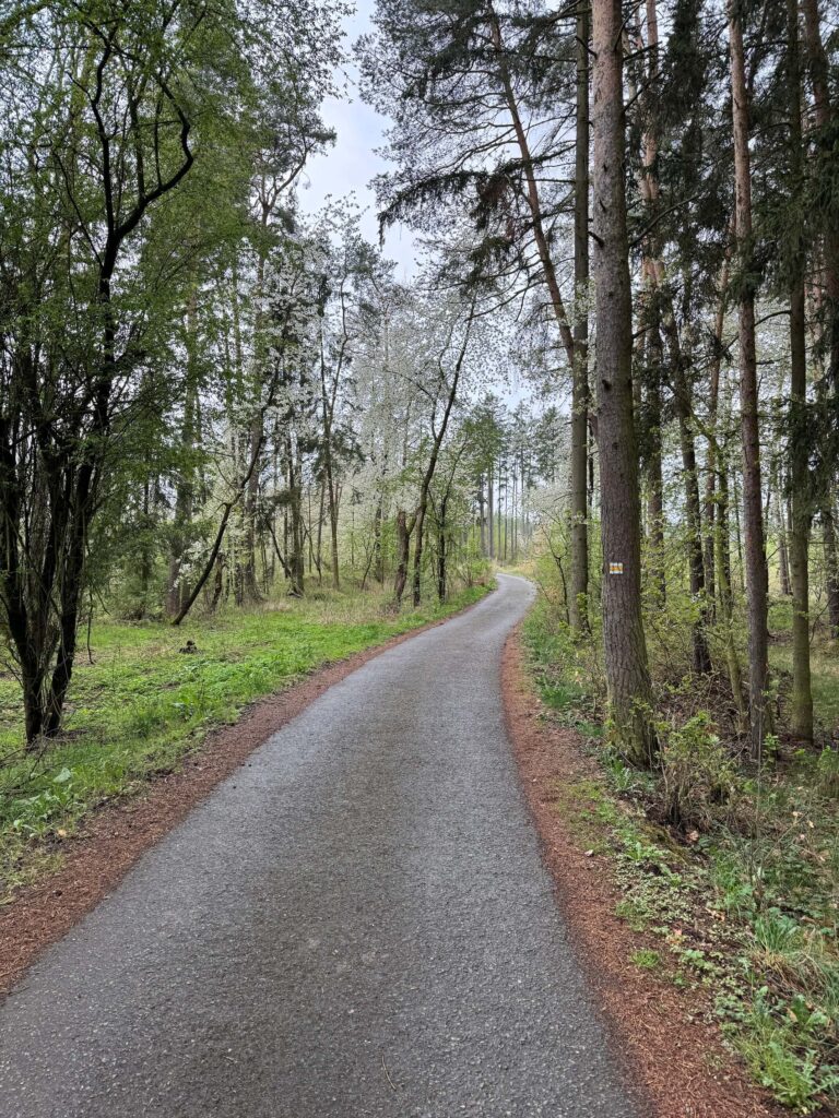Cesta na hrad Volfštejn