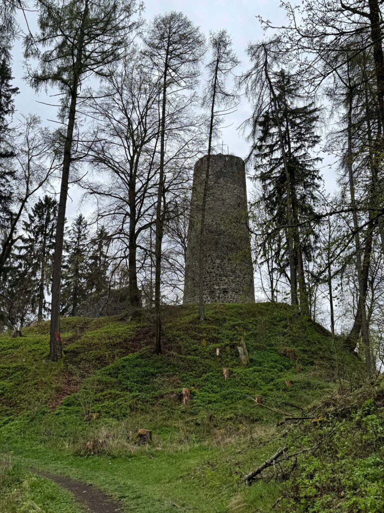 Zřícenina hradu Volfštejn