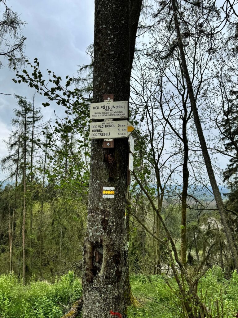 Zřícenina hradu Volfštejn