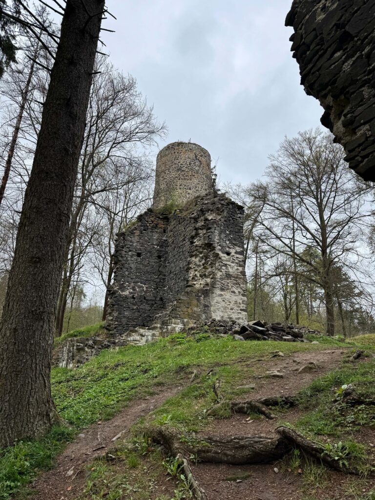 Zřícenina hradu Volfštejn