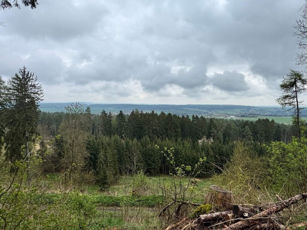 Zřícenina hradu Volfštejn - výhled