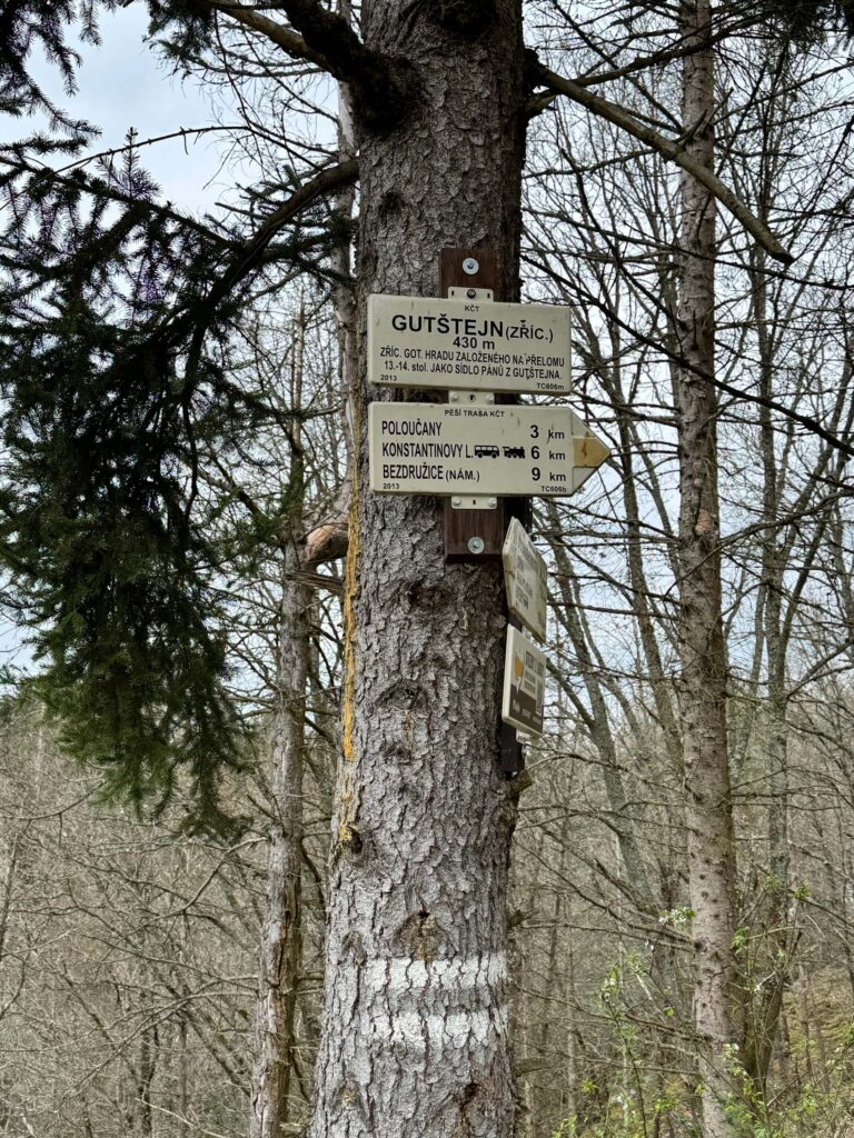 Zřícenina hradu Gutštejn